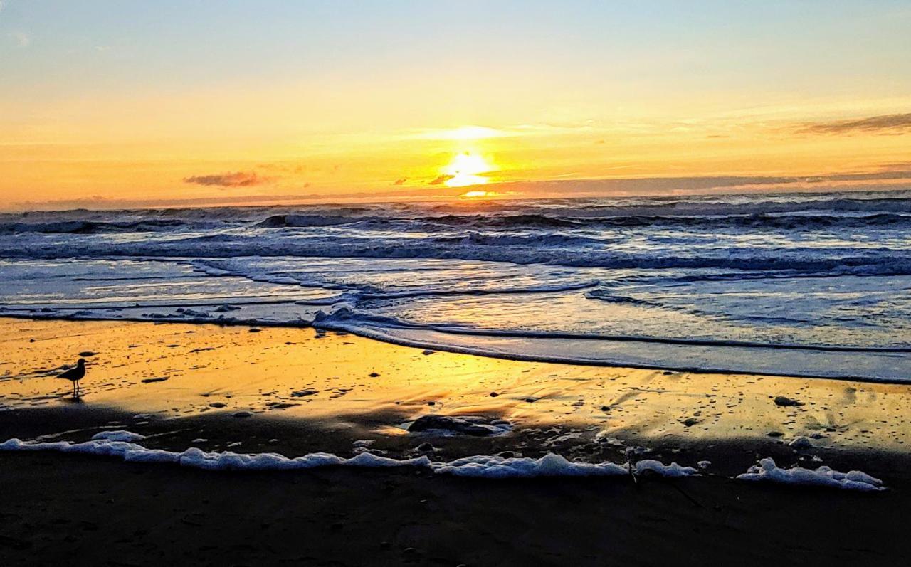 Starfish Manor Oceanfront Hotel Lincoln City Exterior foto